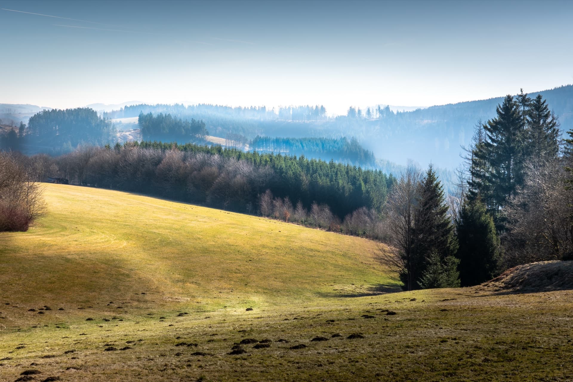 Hochsauerland-Landschaft bei Langewiese